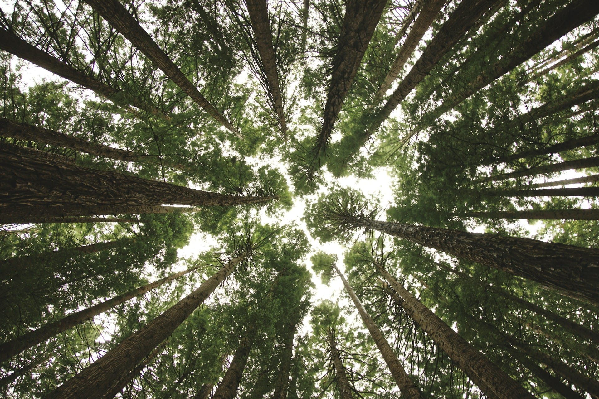 If you want to thrive in midlife, focus on these 8 things feature image